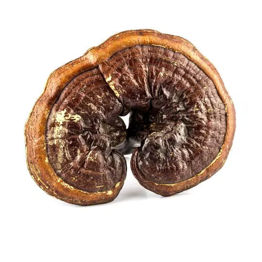 Fenchelsamen